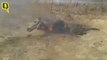IAF's MiG-27 Aircraft, On Routione Mission, Crashes Near Sirohi