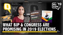 Kasmein & Vaade: What BJP & Congress Are Promising This Election
