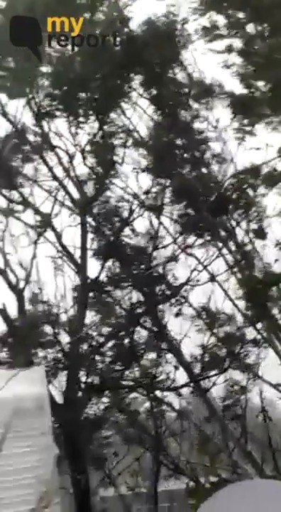 #MyReport | Cyclone Fani: Gushing Winds and Heavy Rain Fear Citizens of Odisha