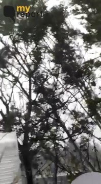 #MyReport | Cyclone Fani: Gushing Winds and Heavy Rain Fear Citizens of Odisha