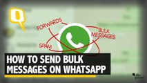 How to Send Bulk WhatsApp Messages | The Quint