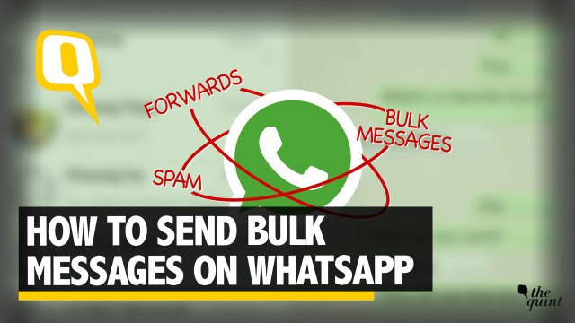 How to Send Bulk WhatsApp Messages | The Quint