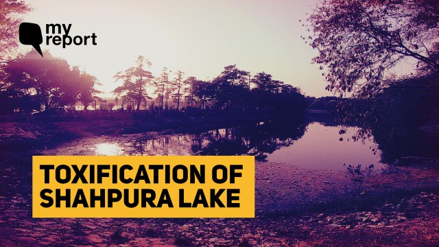 Shahpura Lake is the New Dumping Ground for Bhopal City