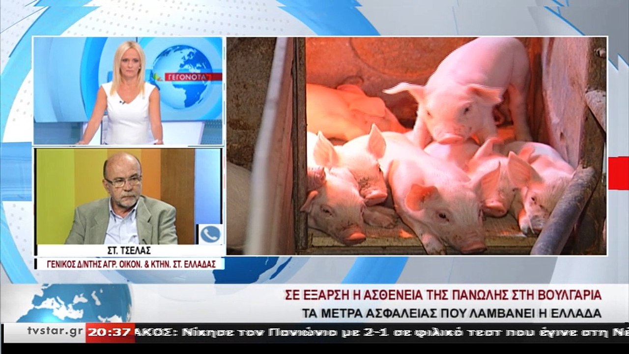 Καταστροφική για την χοιροτροφία της χώρας η είσοδος της Αφρικανικής Πανώλης του χοίρου