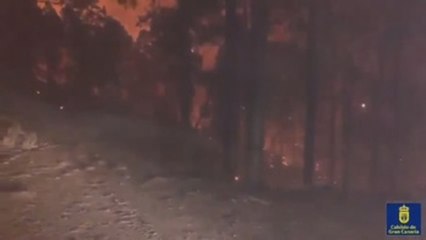 El incendio de Gran Canaria comienza a remitir y pierde potencial