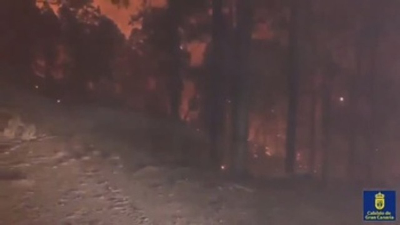 El incendio de Gran Canaria comienza a remitir y pierde potencial