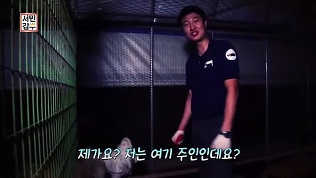 [선공개] 평범한 애완동물이 아닌 반려 _닭_ 으로 연매출 20억!