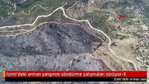 İzmir'deki orman yangınını söndürme çalışmaları sürüyor-3