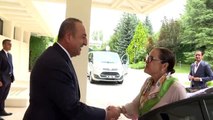 Dışişleri Bakanı Çavuşoğlu, El Salvadorlu mevkidaşı Alexandra Hill ile bir araya geldi