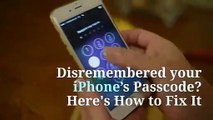 Forgot your iPhone’s Passcode Here's How to Fix It