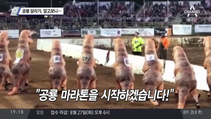 공룡 달리기, 알고보니…
