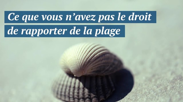 Sable, galets, coquillages… ce que vous n’avez pas le droit de rapporter de la plage