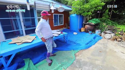 한국기행 - Korea travel_여름 한 사발, 냉국기행 1부- 미역, 너를 기다렸다_#001