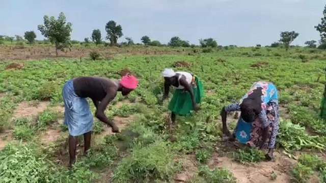 Afrika: Humanitárius válság