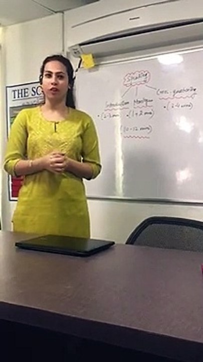 Best IELTS Coaching Institute - IELTS session on speaking