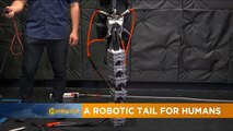 Robotic tail for humans? [Sci Tech]