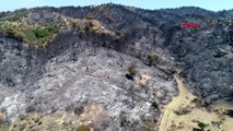 İzmir'deki orman yangınını söndürme çalışmaları sürüyor-4
