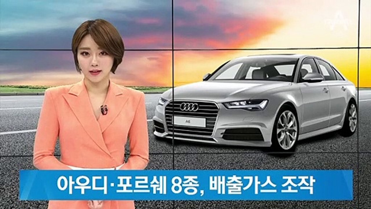 “이번엔 요소수 조작”…아우디·포르쉐 8종, 배출가스 조작