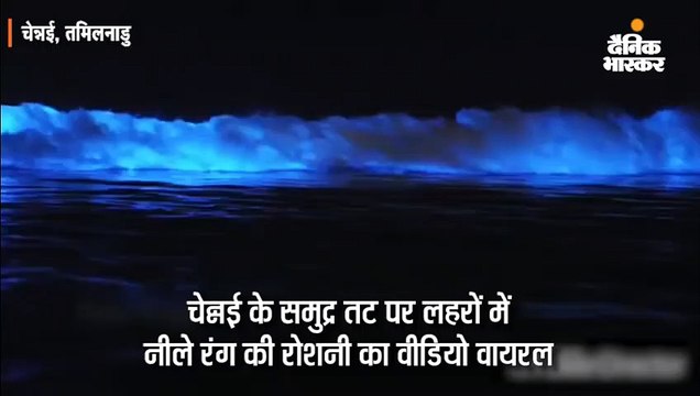 तीन तटों पर समुद्र के पानी में नीली रोशनी वाली लहरें दो घंटे तक दिखीं, लोग भागे