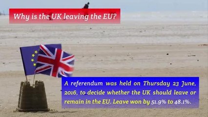 Brexit video