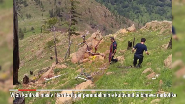 1600 forca policie kontroll masiv antikanabis në të gjithë vendin