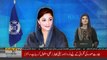 NAB decides to freeze Maryam Nawaz's properties in corruption cases