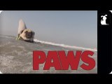PAWS - The JAWS Parody You Never Knew You Needed, But Definitely Do...