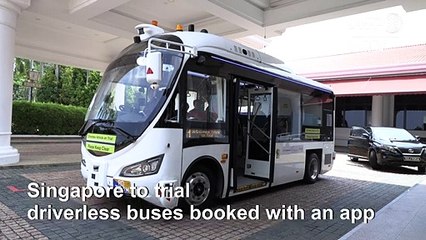 Singapore to trial driverless buses