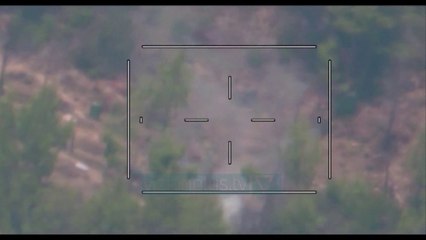 Aksion i gjerë për zbulimin e bimëve të kanabisit - News, Lajme - Vizion Plus