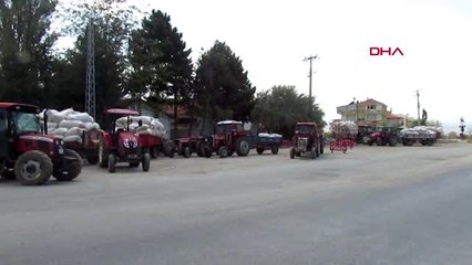 AFYONKARAHİSAR Üreticiler haşhaş kapsülü alımından dertli