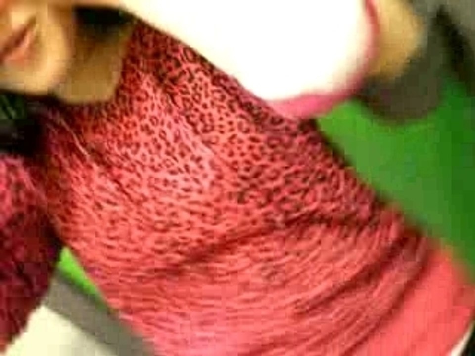 La stachmou