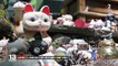 Japon : l'archipel où les chats sont rois
