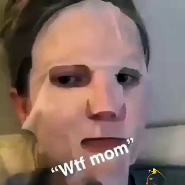 Ce chat est effrayé par le masque soin du visage de sa maman. Trop drôle !