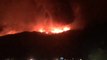 El incendio de Estepona avanza sin control y ya ha quemado 280 hectáreas