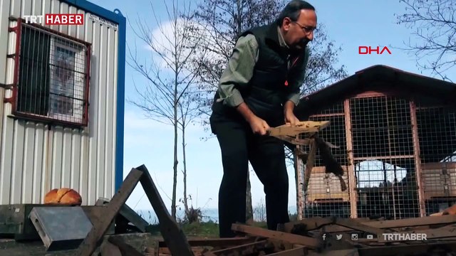 Tesise dadanan ayıların bal testi kamerada