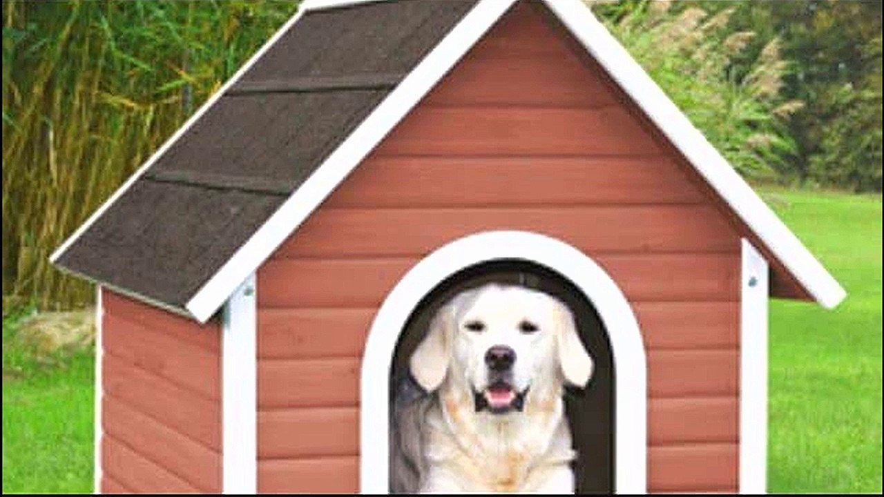 Como fazer uma casinha de papelão para cachorros - PASSO A PASSO