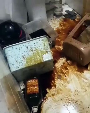 Ces chiens ont fait un vrai bazar dans la maison. A couper le souffle !