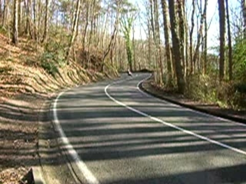 Chevreuse2