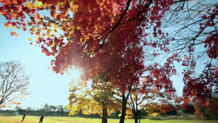 Discover Japan Feel the True Beauty of Tohoku Japan