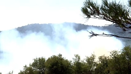 İzmir'deki orman yangınına müdahale sürüyor