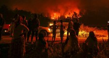 CHP'li Atila Sertel'den İzmir'deki orman yangınlarıyla ilgili önemli iddia