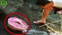 9 Mysterious Mutant Animals Caught on Tape