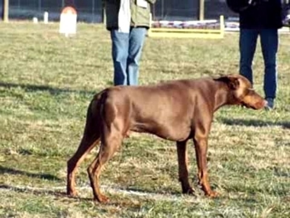 Shaft mondio merignac positions