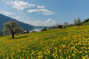Die Schweiz und seine Regionen: Zentralschweiz