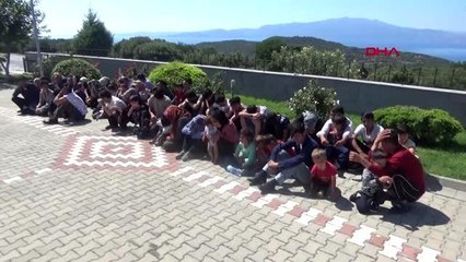 Çanakkale'de 54 kaçak göçmen yakalandı