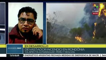 Vera: Se está perdiendo un importante pulmón del planeta, el Amazonas