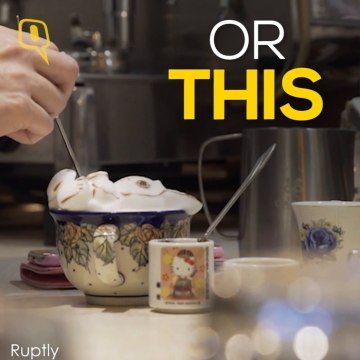 1010 Coffee Animals Ruptly