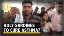 Holy Sardines To Cure Asthma? Lakhs Queue Up To Swallow Live Fish