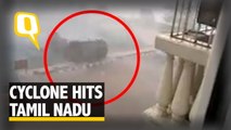 The Quint| Watch: Cyclone Vardah Unleashes Fury in Tamil Nadu