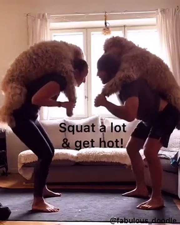 Vous avez des chiens ? Faites du sport AVEC !